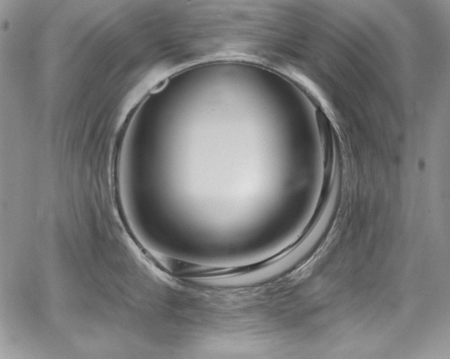 X0000068270910200604211107