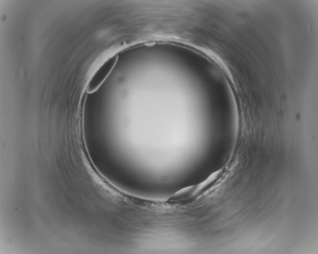 X0000068270911200604211107