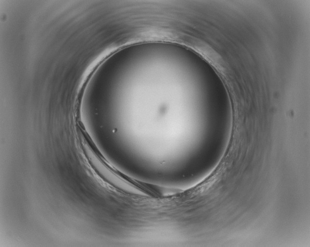 X0000068270912200604211107