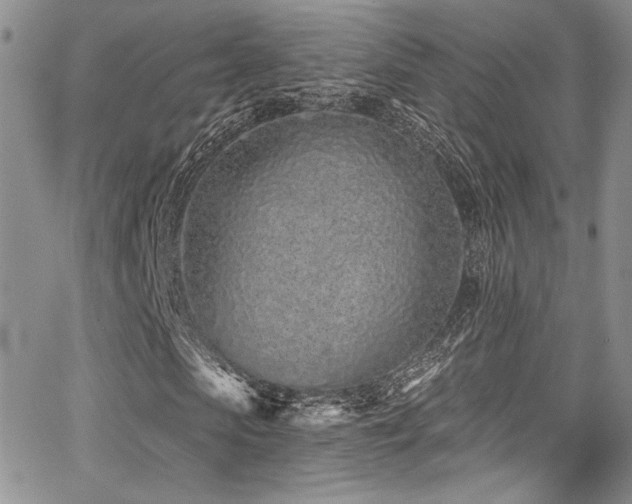 X0000068270913200604211106