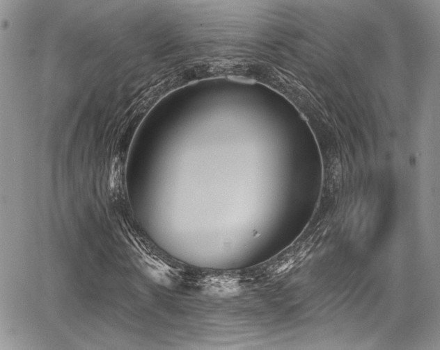 X0000068270914200604211106