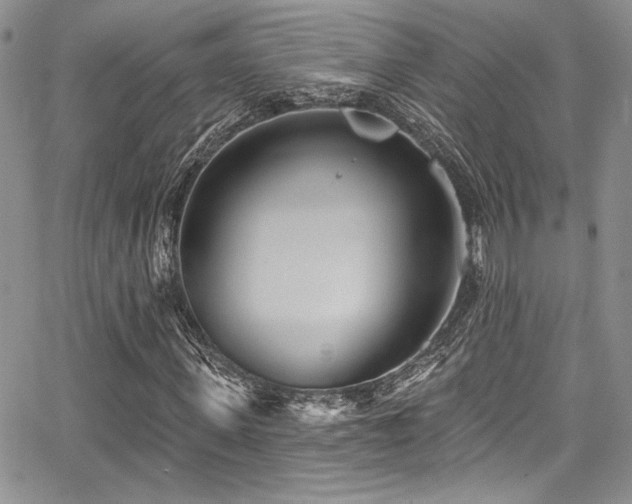 X0000068270915200604211106