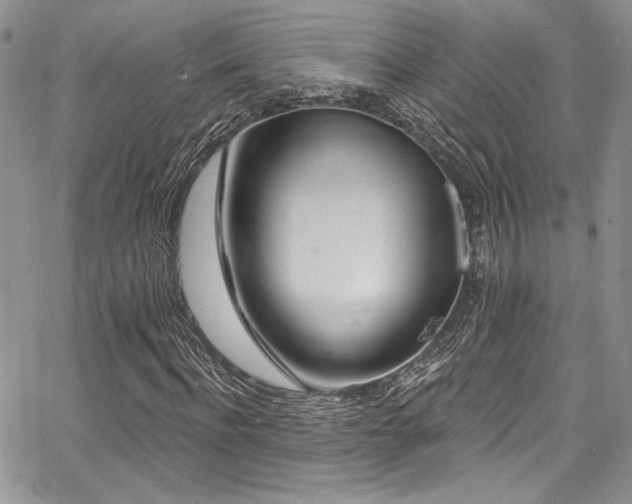 X0000068270916200604211106