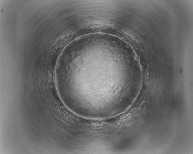 X0000068270917200604211106