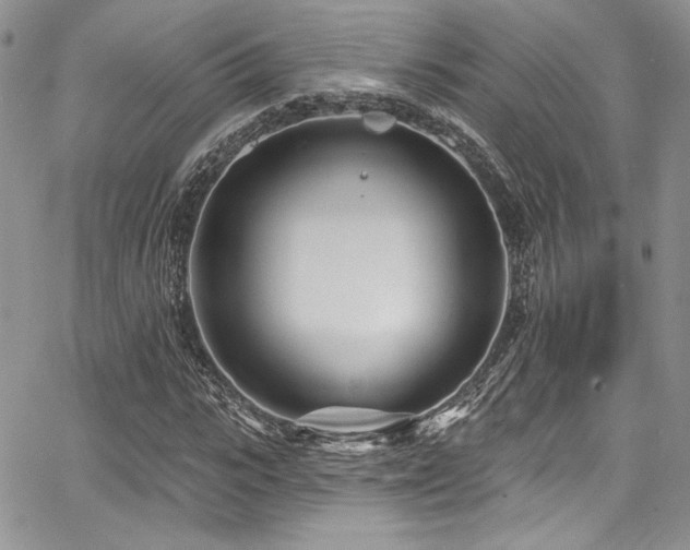 X0000068270919200604211106