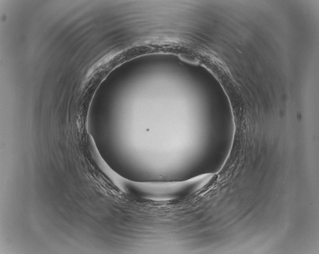 X0000068270920200604211106