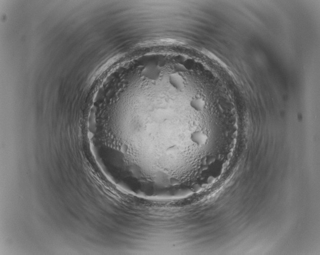 X0000068270921200604211106