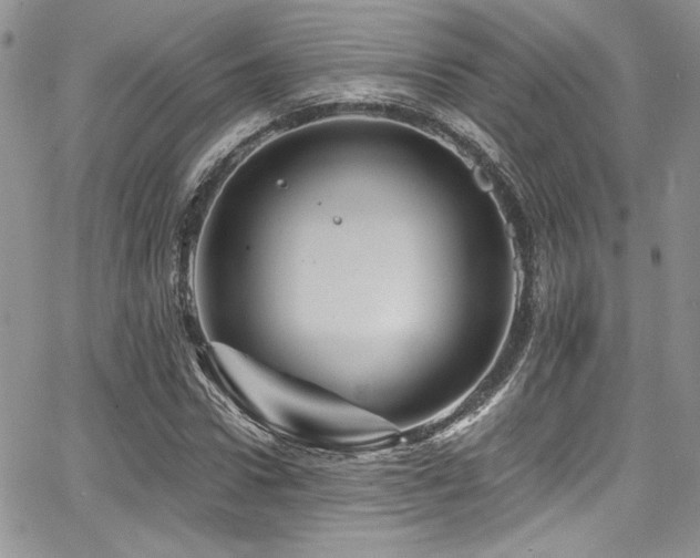 X0000068270922200604211106