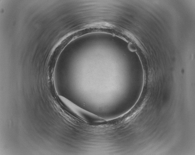 X0000068270923200604211106