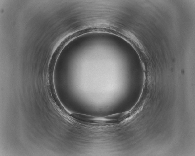 X0000068270924200604211106