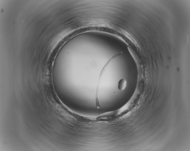 X0000068270926200604211106