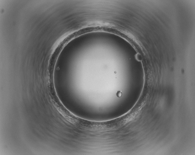 X0000068270927200604211106