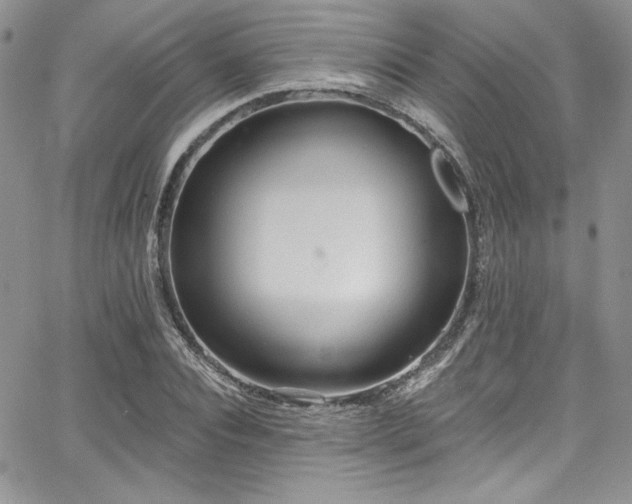 X0000068270928200604211106