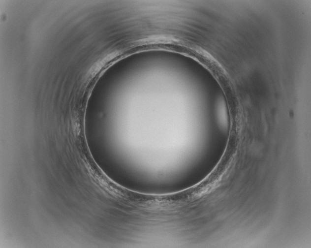 X0000068270929200604211106