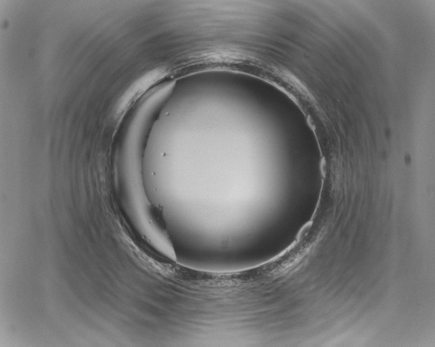 X0000068270930200604211106