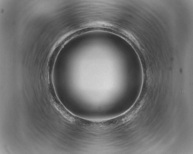 X0000068270931200604211106