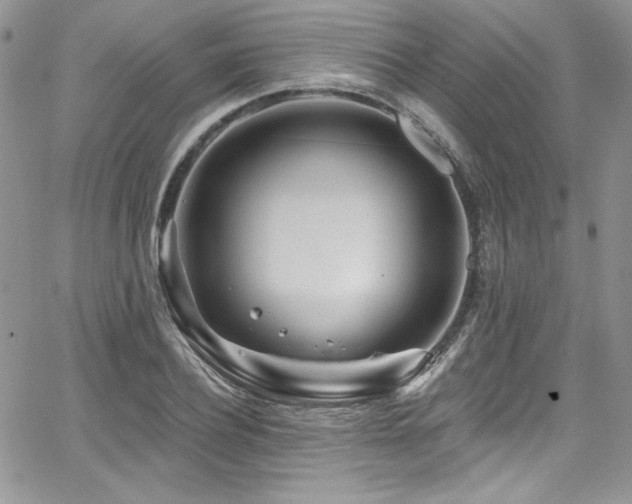 X0000068270932200604211106