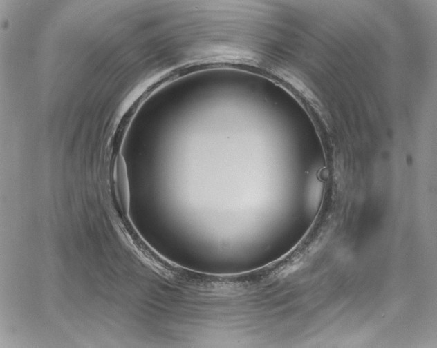 X0000068270933200604211106