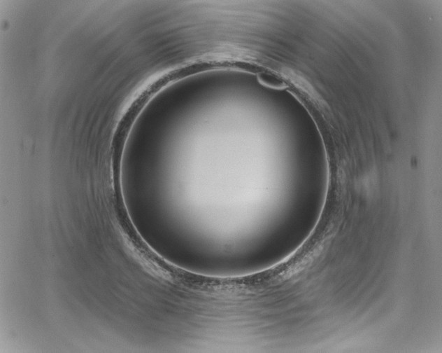 X0000068270934200604211106