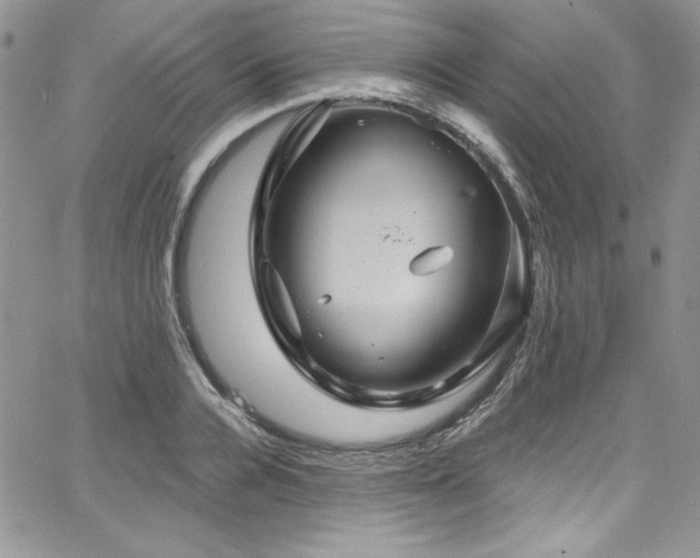 X0000068270936200604211106