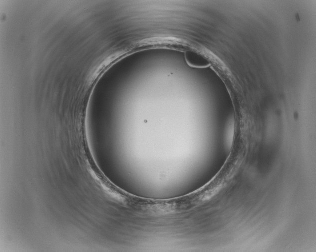 X0000068270937200604211106