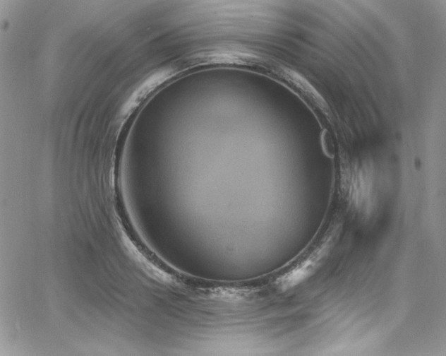 X0000068270938200604211106