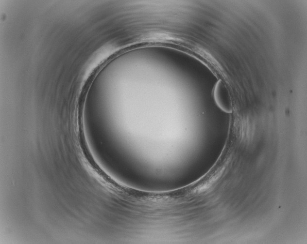 X0000068270939200604211106