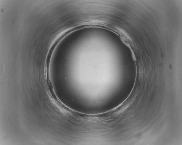 X0000068270940200604211106