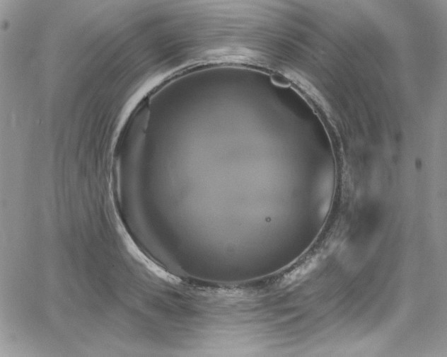 X0000068270941200604211107