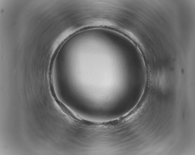 X0000068270943200604211107