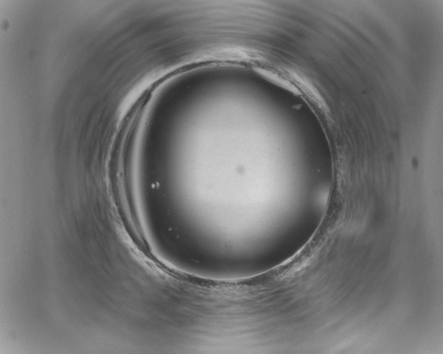 X0000068270944200604211107