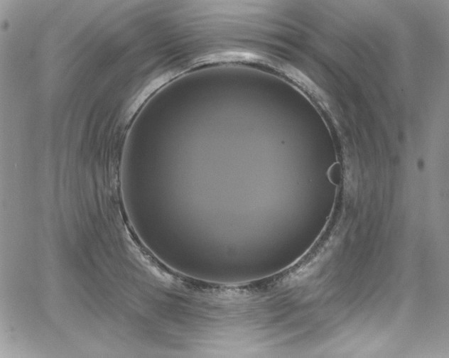 X0000068270945200604211107