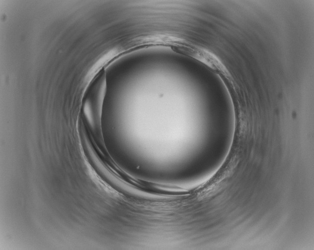 X0000068270946200604211107