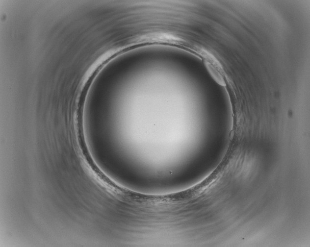 X0000068270947200604211107