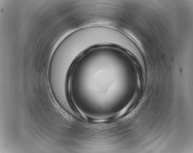 X0000068270948200604211107