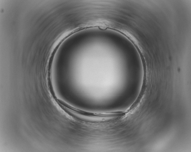 X0000068270949200604211107