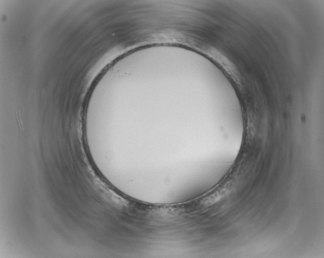 X0000068270950200604211107