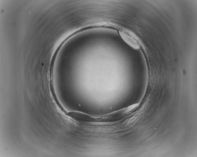 X0000068270951200604211107