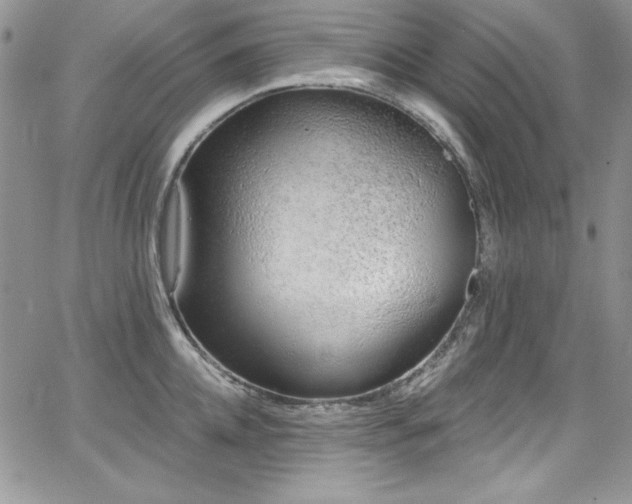 X0000068270952200604211107