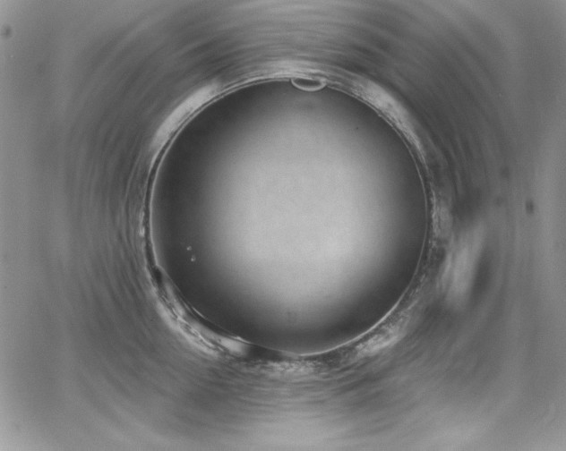 X0000068270954200604211107