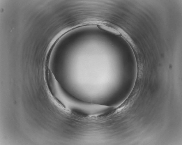 X0000068270955200604211107