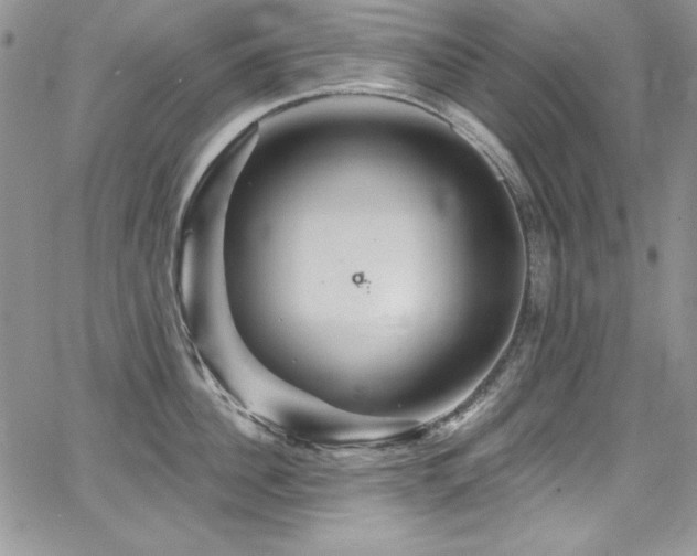 X0000068270956200604211107