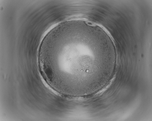 X0000068270957200604211107