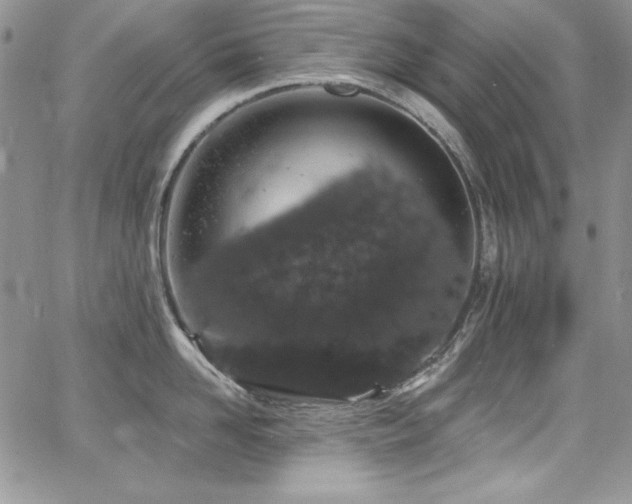 X0000068270958200604211107