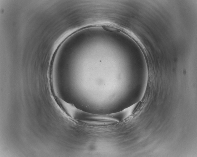 X0000068270959200604211107