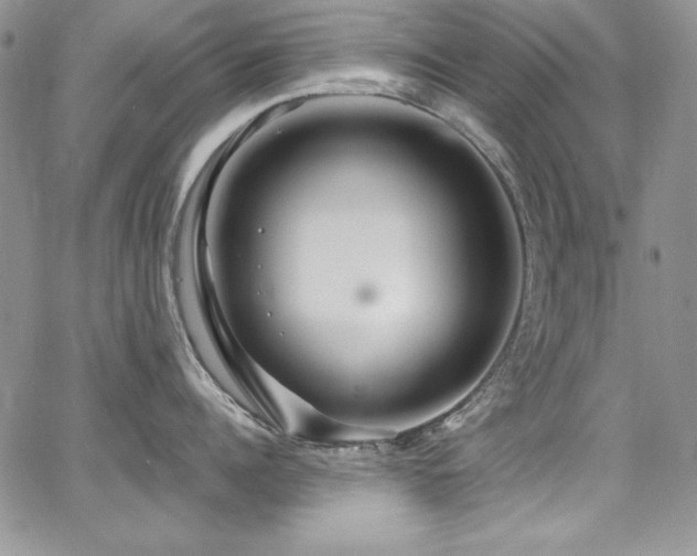 X0000068270960200604211107