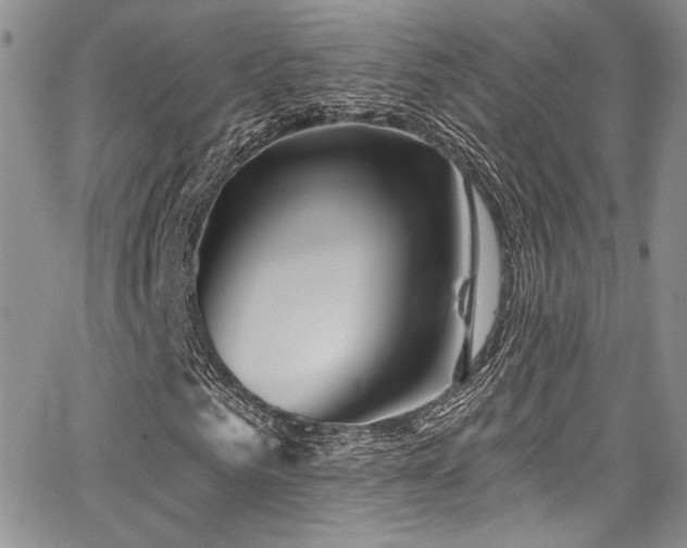 X0000068270961200604211106