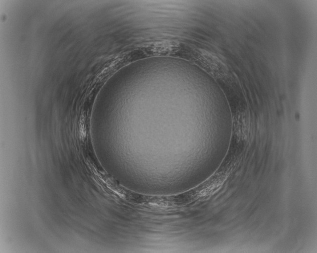 X0000068270962200604211106