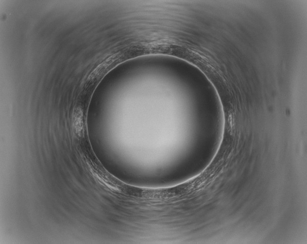 X0000068270963200604211106