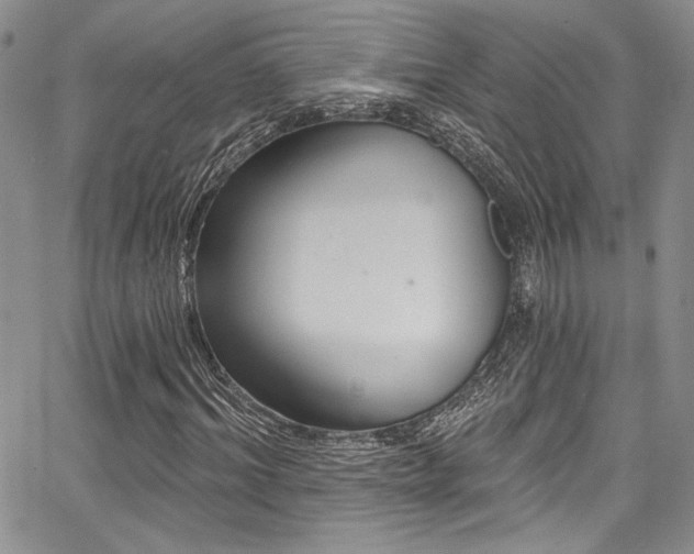 X0000068270964200604211106